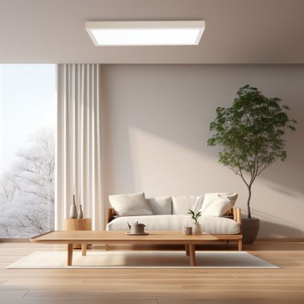 Brilagi - LED Stmívatelné koupelnové stropní svítidlo FRAME SMART LED/30W/230V 30x60 cm 3000-6000K IP44 bílá + dálkové ovládání