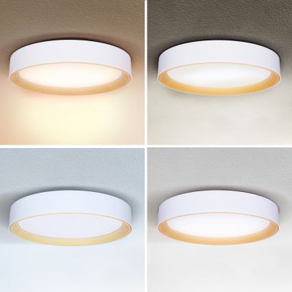 Brilagi - LED Stmívatelné stropní svítidlo LARIOS LED/60W/230V 3000-6500K ø 49 cm bílá + dálkové ovládání
