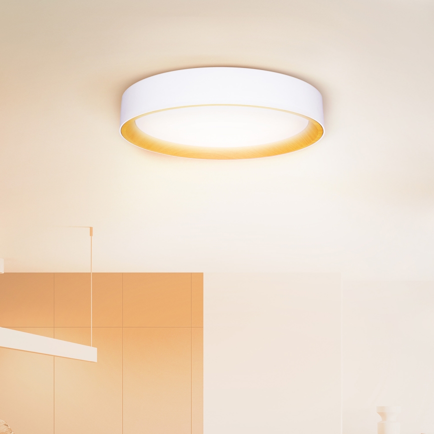 Brilagi - LED Stmívatelné stropní svítidlo LARIOS LED/60W/230V 3000-6500K ø 49 cm bílá + dálkové ovládání