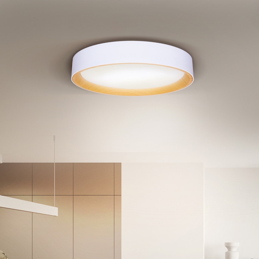 Brilagi - LED Stmívatelné stropní svítidlo LARIOS LED/60W/230V 3000-6500K ø 49 cm bílá + dálkové ovládání