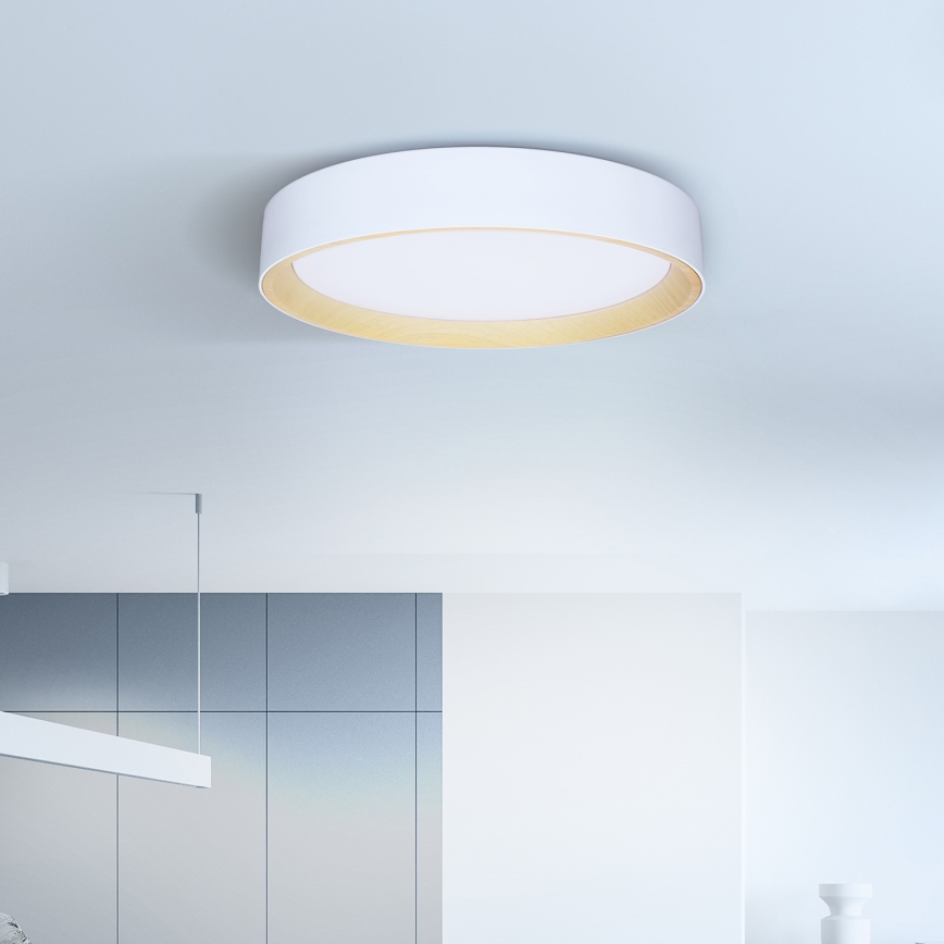 Brilagi - LED Stmívatelné stropní svítidlo LARIOS LED/60W/230V 3000-6500K ø 49 cm bílá + dálkové ovládání