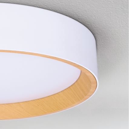 Brilagi - LED Stmívatelné stropní svítidlo LARIOS LED/60W/230V 3000-6500K ø 49 cm bílá + dálkové ovládání