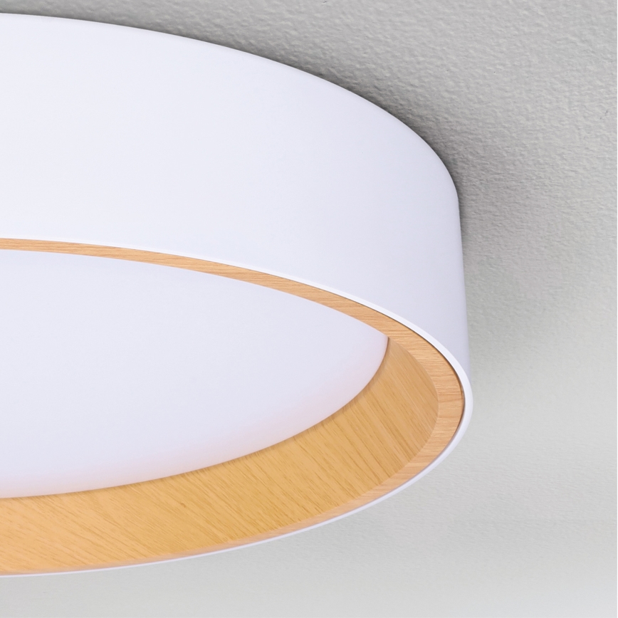 Brilagi - LED Stmívatelné stropní svítidlo LARIOS LED/60W/230V 3000-6500K ø 49 cm bílá + dálkové ovládání