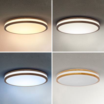 Brilagi - LED Stmívatelné stropní svítidlo MOLINA LED/72W/230V 3000-6500K dub pr. 78 cm + dálkové ovládání