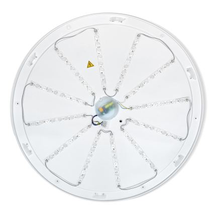 Brilagi - LED Stmívatelné stropní svítidlo PILANA LED/72W/230V 3000-6500K dub/černá pr. 80 cm + dálkové ovládání
