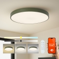 Brilagi - LED Stmívatelné svítidlo POOL SMART LED/100W/230V pr. 80 cm 3000-6000K Wi-Fi Tuya + dálkové ovládání zelená