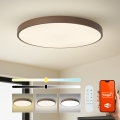Brilagi - LED Stmívatelné svítidlo POOL SMART LED/128W/230V pr. 100 cm 3000-6000K Wi-Fi Tuya + dálkové ovládání hnědá