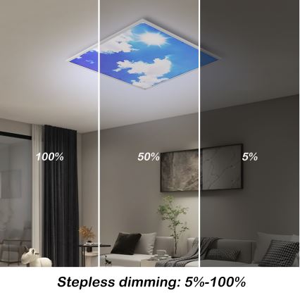 Brilagi - LED Stmívatelné stropní svítidlo SLIMFRAME LED/58W/230V 60x60 cm 3000-6000K stříbrná/modrá + dálkové ovládání