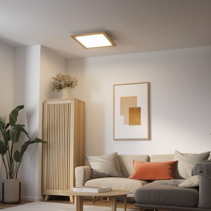Brilagi - LED Stmívatelné stropní svítidlo SLIMFRAME WOOD LED/36W/230V 49,5x49,5 cm 3000-6000K hnědá + dálkové ovládání