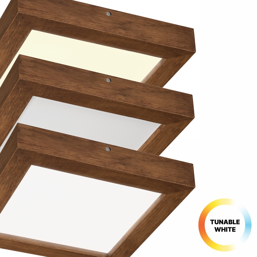 Brilagi - LED Stmívatelné koupelnové stropní svítidlo WOODY FRAME LED/24W/230V dub třešeň 30x30 cm 3000-6000K IP44 + dálkové ovládání