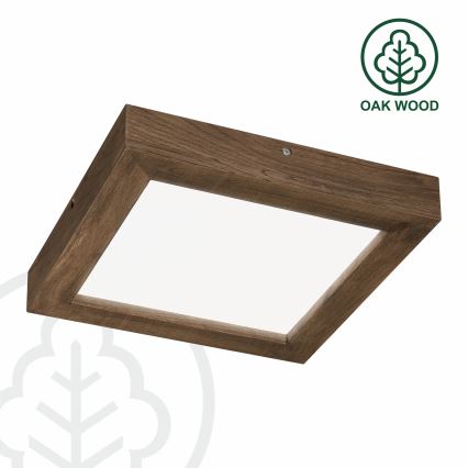 Brilagi - LED Stmívatelné koupelnové stropní svítidlo WOODY FRAME LED/24W/230V dub ořech 30x30 cm 3000-6000K IP44 + dálkové ovládání
