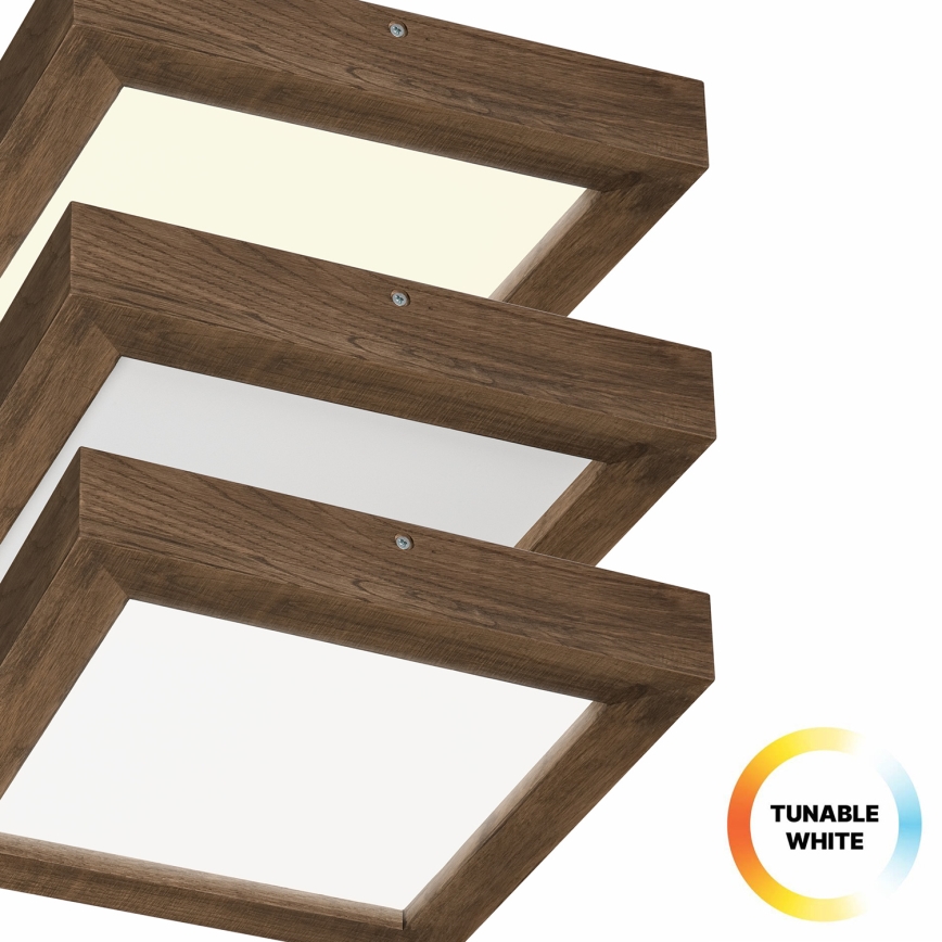 Brilagi - LED Stmívatelné koupelnové stropní svítidlo WOODY FRAME LED/24W/230V dub ořech 30x30 cm 3000-6000K IP44 + dálkové ovládání
