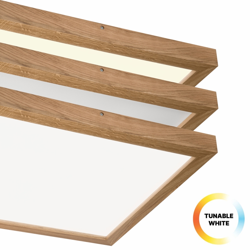 Brilagi - LED Stmívatelné koupelnové stropní svítidlo WOODY FRAME LED/50W/230V dub 60x60 cm 3000-6000K IP44 + dálkové ovládání
