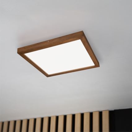 Brilagi - LED Stmívatelné koupelnové stropní svítidlo WOODY FRAME LED/50W/230V dub třešeň 60x60 cm 3000-6000K IP44 + dálkové ovládání