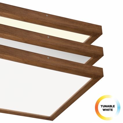 Brilagi - LED Stmívatelné koupelnové stropní svítidlo WOODY FRAME LED/50W/230V dub třešeň 60x60 cm 3000-6000K IP44 + dálkové ovládání