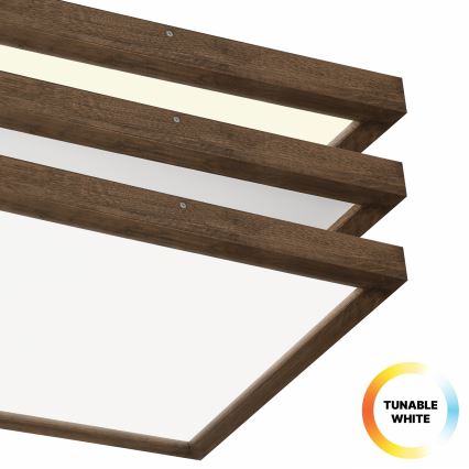 Brilagi - LED Stmívatelné koupelnové stropní svítidlo WOODY FRAME LED/50W/230V dub ořech 60x60 cm 3000-6000K IP44 + dálkové ovládání