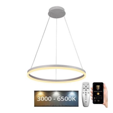 Brilagi - LED Stmívatelný lustr na lanku CIRCLE LED/42W/230V 3000-6500K pr. 60 cm + dálkové ovládání