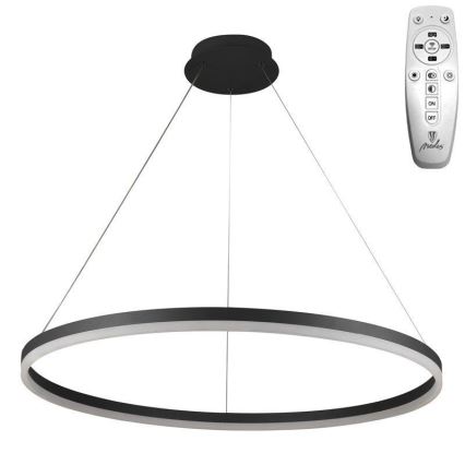 Brilagi - LED Stmívatelný lustr na lanku CIRCLE LED/55W/230V 3000-6500K černá + dálkové ovládání