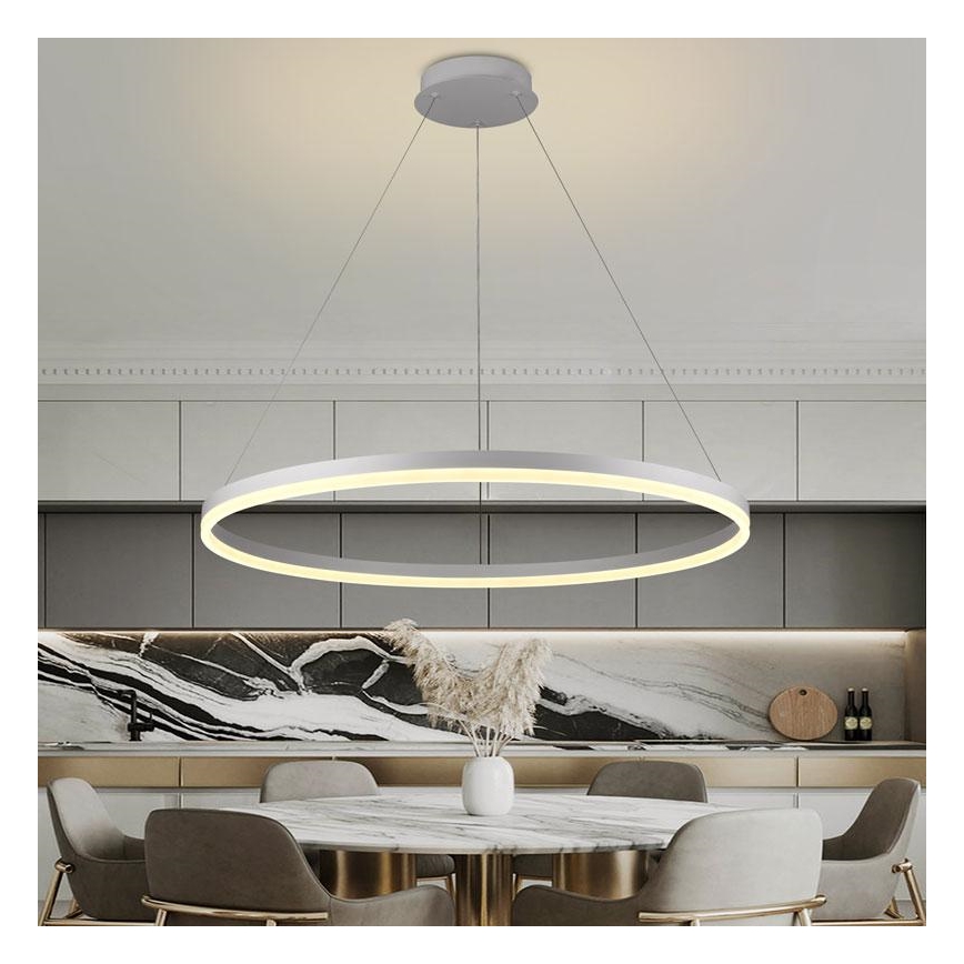 Brilagi - LED Stmívatelný lustr na lanku CIRCLE LED/55W/230V 3000-6500K + dálkové ovládání