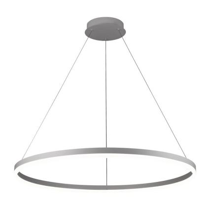 Brilagi - LED Stmívatelný lustr na lanku CIRCLE LED/55W/230V 3000-6500K + dálkové ovládání