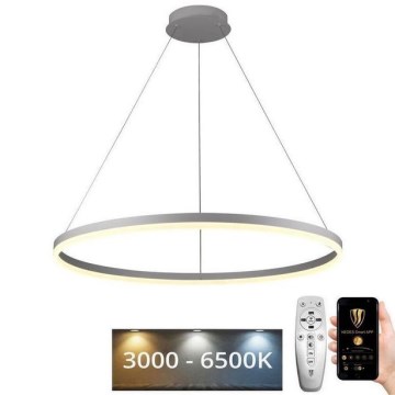 Brilagi - LED Stmívatelný lustr na lanku CIRCLE LED/55W/230V 3000-6500K pr. 80 cm bílá + dálkové ovládání