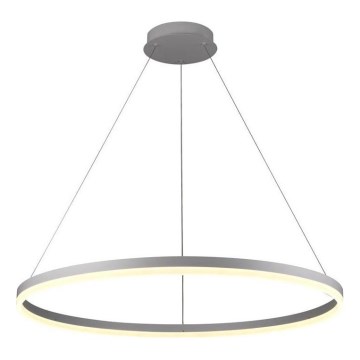 Brilagi - LED Stmívatelný lustr na lanku CIRCLE LED/55W/230V 3000-6500K pr. 80 cm stříbrná + dálkové ovládání