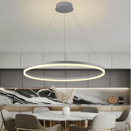 Brilagi - LED Stmívatelný lustr na lanku CIRCLE LED/55W/230V 3000-6500K stříbrná + dálkové ovládání
