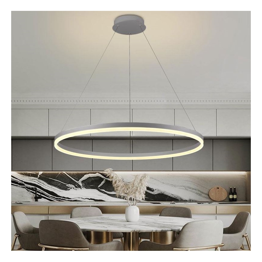 Brilagi - LED Stmívatelný lustr na lanku CIRCLE LED/55W/230V 3000-6500K stříbrná + dálkové ovládání