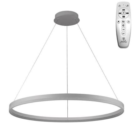 Brilagi - LED Stmívatelný lustr na lanku CIRCLE LED/55W/230V 3000-6500K stříbrná + dálkové ovládání