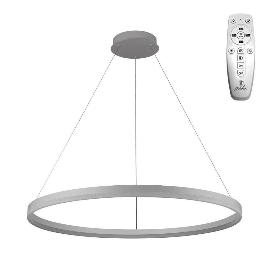 Brilagi - LED Stmívatelný lustr na lanku CIRCLE LED/55W/230V 3000-6500K stříbrná + dálkové ovládání