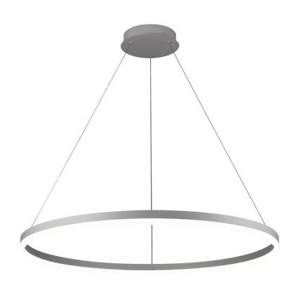 Brilagi - LED Stmívatelný lustr na lanku CIRCLE LED/55W/230V 3000-6500K stříbrná + dálkové ovládání