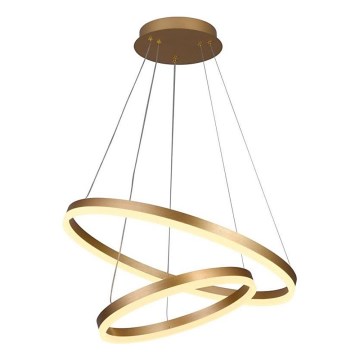 Brilagi - LED Stmívatelný lustr na lanku CIRCLE LED/70W/230V 3000-6500K zlatá + dálkové ovládání