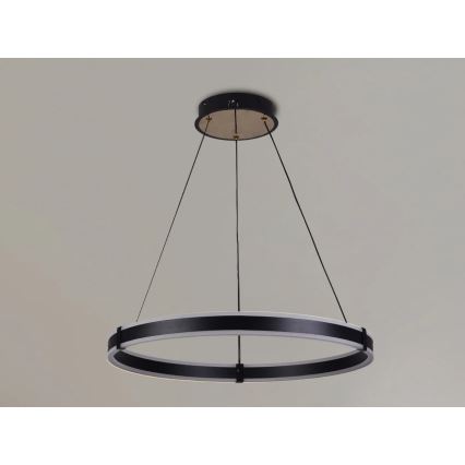Brilagi - LED Stmívatelný lustr na lanku CIRCLE LED/85W/230V 3000-6500K pr. 60 cm černá/zlatá + dálkové ovládání