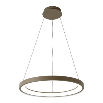 Brilagi - LED Stmívatelný lustr na lanku FALCON SLIM LED/42W/230V 3000-6000K pr. 50 cm béžová + dálkové ovládání