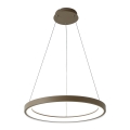 BRILAGI - LED Stmívatelný lustr na lanku FALCON SLIM LED/42W/230V 3000-6500K pr. 50 cm béžová + dálkové ovládání