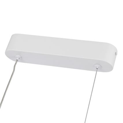Brilagi - LED Stmívatelný lustr na lanku TWISTER LED/60W/230V 3000-6000K bílá + dálkové ovládání