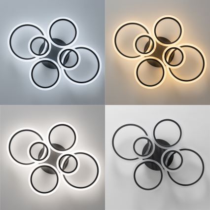 Brilagi - LED Stmívatelný přisazený lustr ORBITS LED/85W/230V 3000-6500K antracit + dálkové ovládání