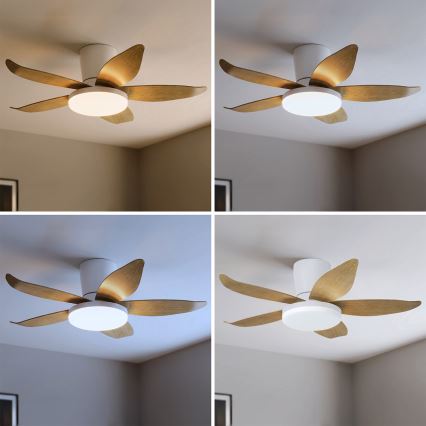 Brilagi - LED Stmívatelný stropní ventilátor LED/32W/230V 95 cm bílá/hnědá + dálkové ovládání