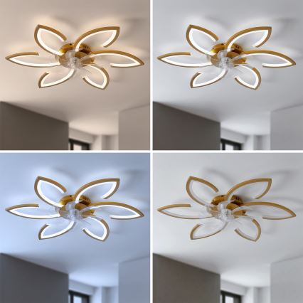 Brilagi - LED Stmívatelný stropní ventilátor LED/34W/230V pr. 78 cm zlatá + dálkové ovládání