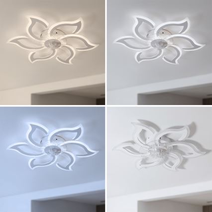 Brilagi - LED Stmívatelný stropní ventilátor LED/34W/230V pr. 83 cm bílá + dálkové ovládání