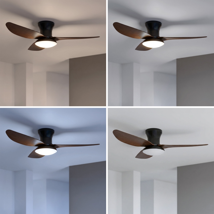 Brilagi - LED Stmívatelný stropní ventilátor LED/38W/230V 3000-6500K pr. 100 cm černá/hnědá + dálkové ovládání
