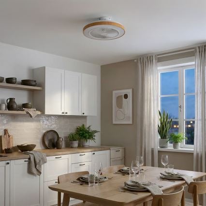 Brilagi - LED Stmívatelný stropní ventilátor LED/38W/230V 50 cm bílá/hnědá + dálkové ovládání