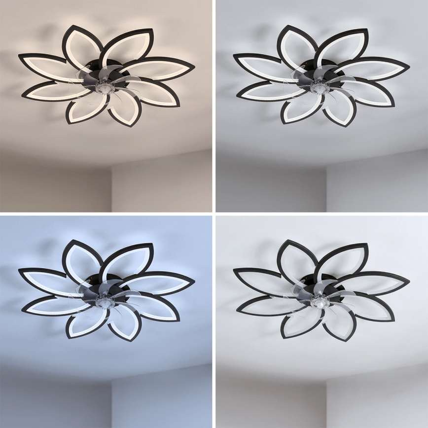 Brilagi - LED Stmívatelný stropní ventilátor LED/43W/230V pr. 90 cm černá + dálkové ovládání