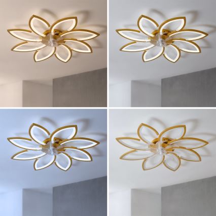 Brilagi - LED Stmívatelný stropní ventilátor LED/43W/230V 3000-6500K pr. 90 cm zlatá + dálkové ovládání