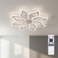 Brilagi - LED Stmívatelný stropní ventilátor LED/44W/230V 3000-6500K pr. 90 cm bílá + dálkové ovládání