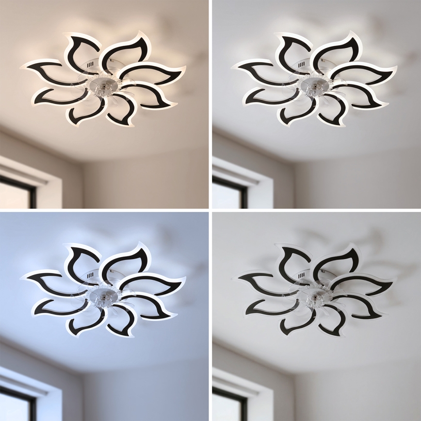 Brilagi - LED Stmívatelný stropní ventilátor LED/44W/230V 3000-6500K pr. 90 cm černá + dálkové ovládání