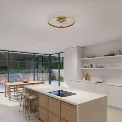 Brilagi - LED Stmívatelný stropní ventilátor LED/66W/230V 3000-6500K pr. 55 cm bílá/zlatá + dálkové ovládání
