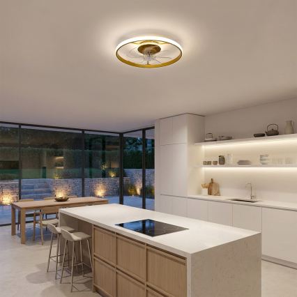 Brilagi - LED Stmívatelný stropní ventilátor LED/66W/230V 3000-6500K pr. 55 cm bílá/zlatá + dálkové ovládání
