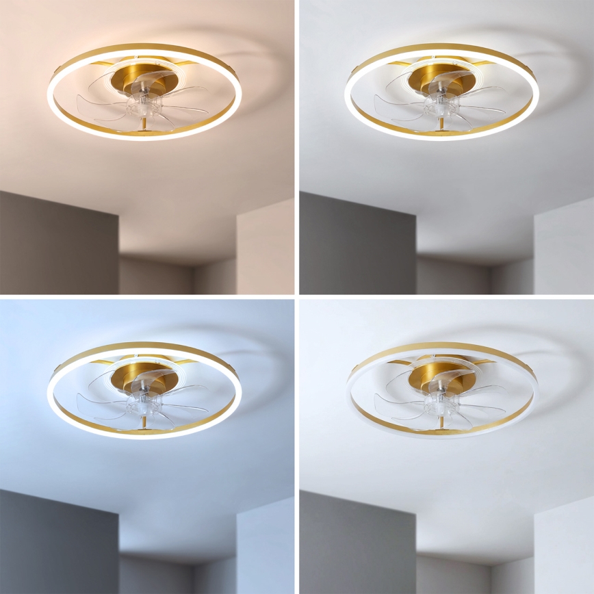 Brilagi - LED Stmívatelný stropní ventilátor LED/66W/230V 55 cm bílá/zlatá + dálkové ovládání