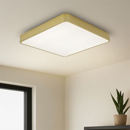 BRILAGI - LED Stropní svítidlo POOL SQUARE LED/36W/230V 3000/4000/6000K 40x40 cm zlatá